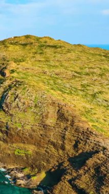 Rugged coastal cliff with vegetation and waves crashing below. Landscape with afternoon sunlight. Oahu island. Aerial view. Vertical video.