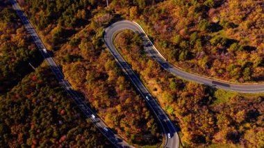 Yüksek açılı, keskin virajlı, sonbahar yeşillik renkleriyle dolu sık bir ormandan geçen yılansı bir yolun havadan çekilmiş görüntüsü..