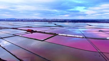 Geometrik tuz tavaları, bulutlu bir gökyüzünün altında canlı pembe suyla, şehir silueti uzakta. Pembe tuz buharlaşma göletlerinin havadan görünüşü şehir kıyısı yakınlarında.