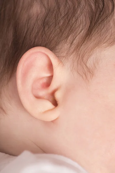 Bebês orelha perto — Fotografia de Stock