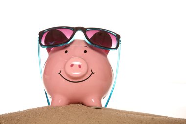 Yaz tatil domuzcuk bankalar para tasarrufu