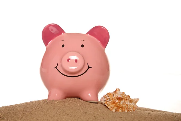Yaz tatil domuzcuk bankalar para tasarrufu — Stok fotoğraf