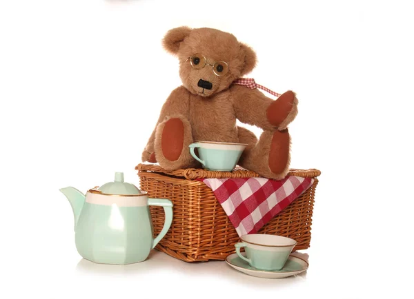 Miś piknik herbaty — Zdjęcie stockowe