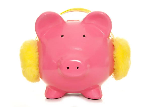 Banco porquinho usando abafadores de orelha — Fotografia de Stock