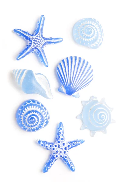 Conchas de mar azul — Foto de Stock