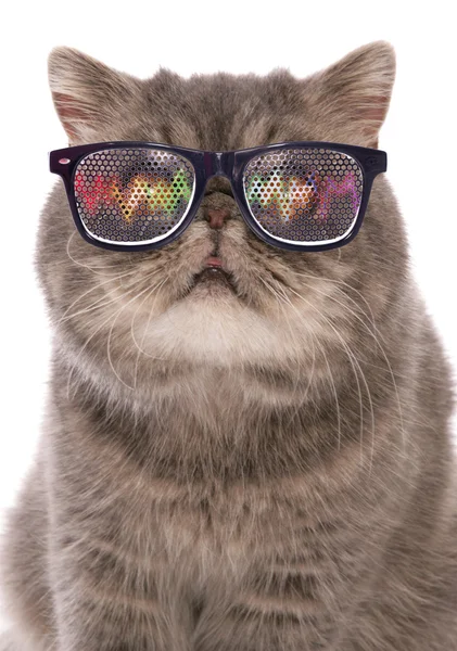 Hypnotised Pictures Hypnotised Stock Photos Images Depositphotos