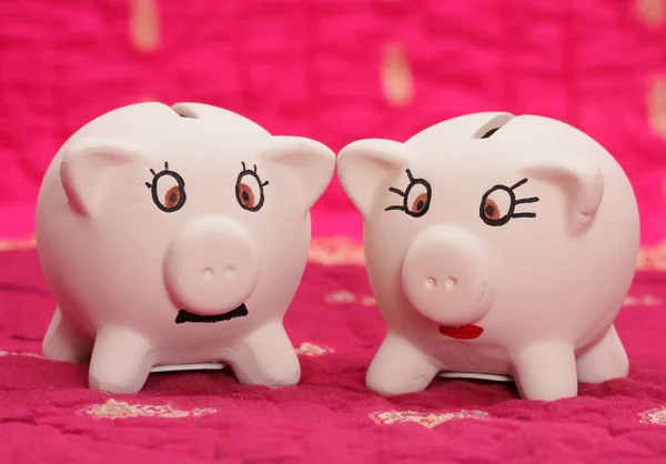 De heer en mevrouw piggy bank — Stockfoto