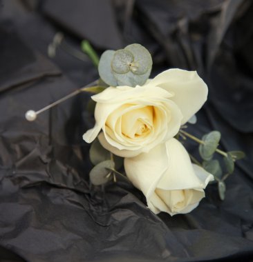 Fildişi düğün gül ilik