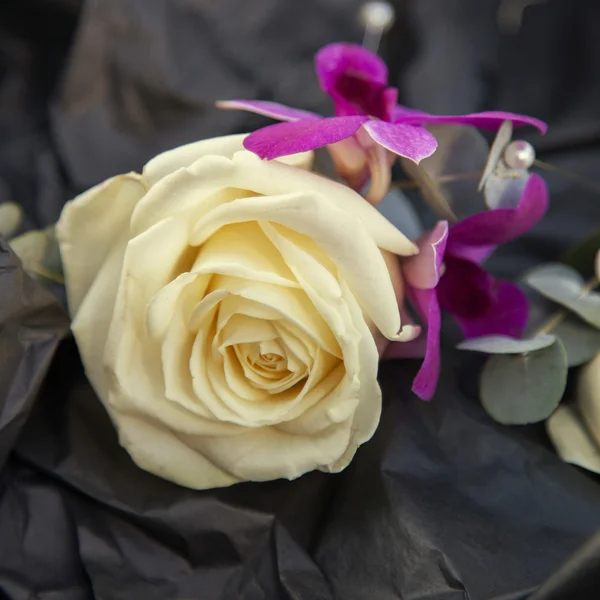 Avorio matrimonio rosa asola — Foto Stock