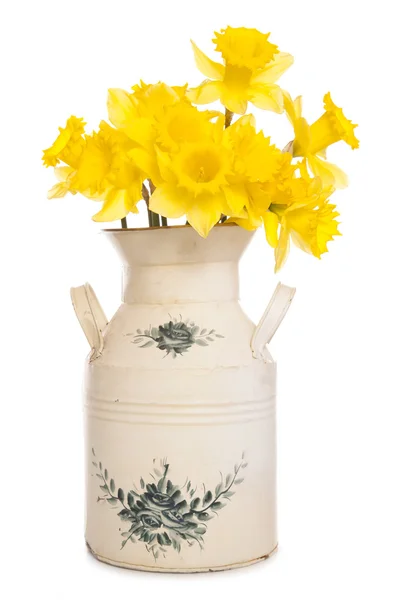 Daffodils in a shabby chic vase — Stock Photo, Image