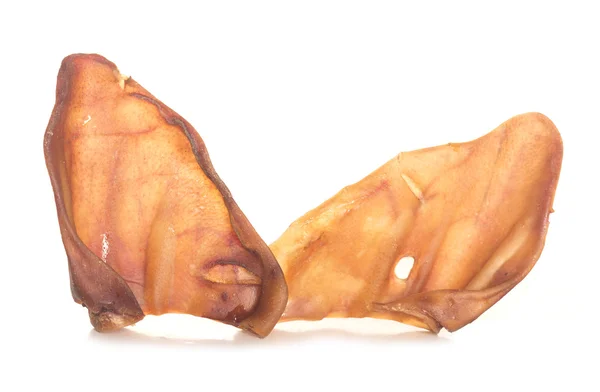 Cerdos oreja perro comida —  Fotos de Stock