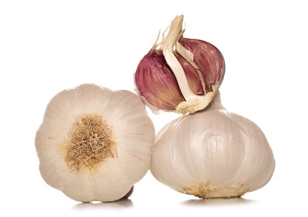 Pile of garlic cloves — Stock Photo, Image