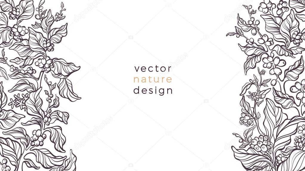 Vector nature border. Coffee plant, leaves, bean, grain, branch on white background. Aroma arabica drink, tropical plantation. Art sketch illustration