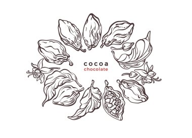 Kakao çemberi deseni. Vektör dokusu sembolü. Çikolata ağacı, dal, fasulye, çiğ meyve. Beyaz arka planda doğa çizimi. Grafik etiketi, sanat çerçevesi