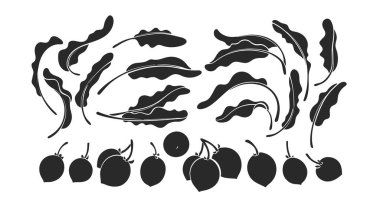 Shea siluetleri hazır. Karit dalının vektör botanik şekli, yaprak silueti, çiğ fındık formu. Siyah iz beyaz arkaplanda izole edilmiş. Doğa koleksiyonu. Organik temel yağ