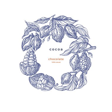 Kakao ürünü. Organik çikolata, aroma tozu, doğal yağ. Vektör el fasulye, dal, çember şeklinde bırakır. Beyaz arka planda izole edilmiş sanat botanik çizimi. Vintage oymalı skeç