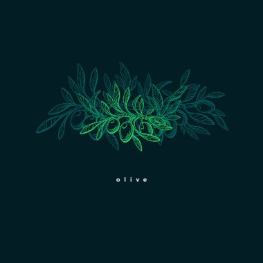 Zeytin neon sembolü. Vektör dokusu dalı, taze meyve. Doğa dokusu çizimi. Koyu arkaplanda parlak amblem