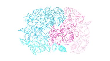 Cocoa paradise background. Hand drawn vector paint illustration. Vintage graphic art sketch. Natural organic chocolate. Summer flora