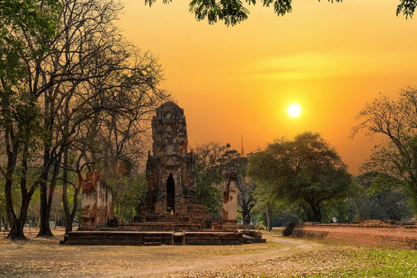 Dünya Mirası alanı Wat Mahathat Ayutthaya, Tayland at — Stok fotoğraf