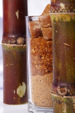 Şeker ve şeker kamışı çeşitli