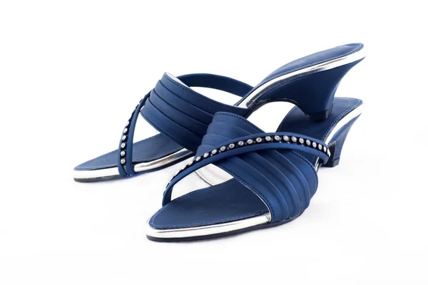 Paar marineblauw vrouwelijke schoenen — Stockfoto