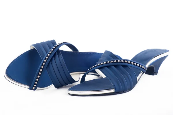 Paar marineblauw vrouwelijke schoenen — Stockfoto