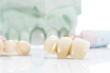 Macro of prosthetic teeth on a white background clipart