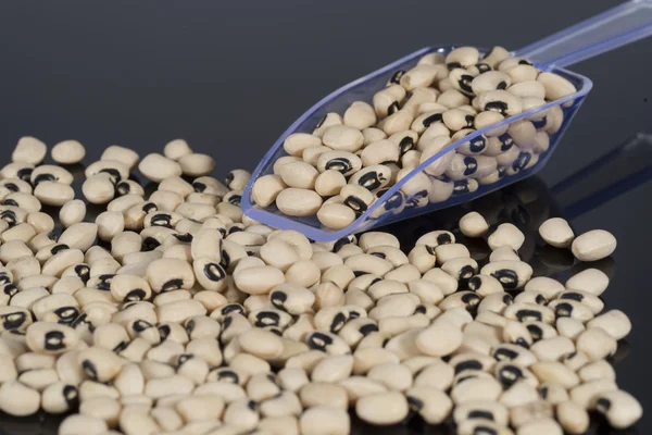 Black eyed peas with a scoop — Stock Photo, Image