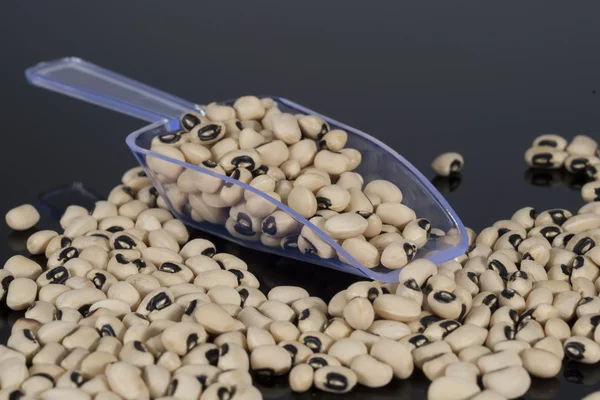 Black eyed peas with a scoop — Stock Photo, Image