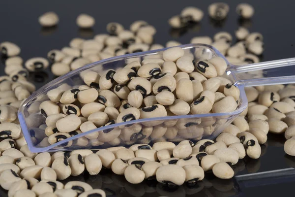 Black eyed peas with a scoop — Stock Photo, Image