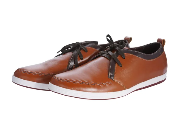 Sapato macho marrom — Fotografia de Stock
