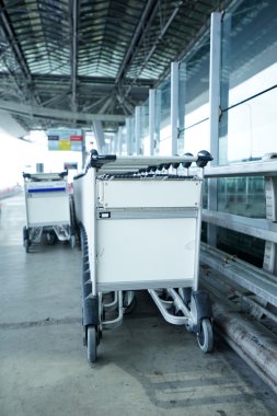 Havaalanı Bagaj Arabaları bir RAW 