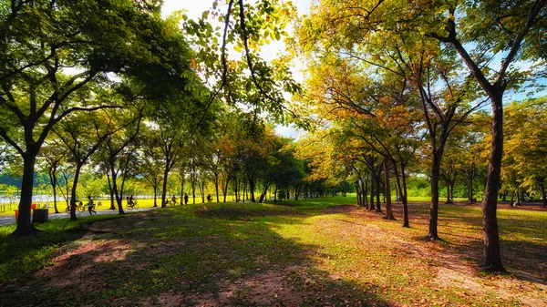 Groene stadspark in zonnige zomerdag — Stockfoto