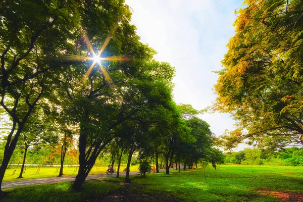 Groene stadspark in zonnige zomerdag — Stockfoto