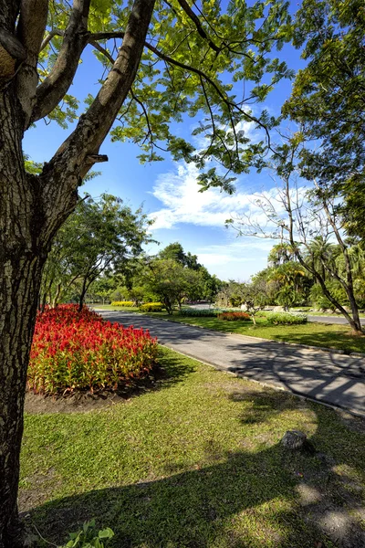 Zahrada v Suan Luang Rama 9 veřejný park — Stock fotografie