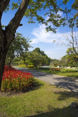 Suan Luang Rama 9 kamu Park Bahçe