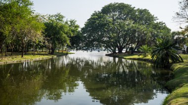 Parktaki yeşil ağaçların manzarası