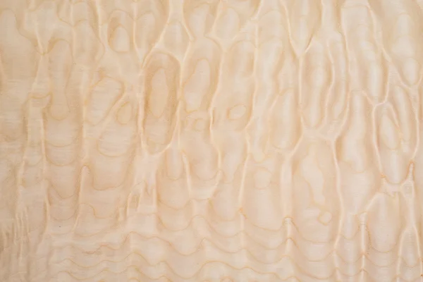 Kapitone akçaağaç dokusuna