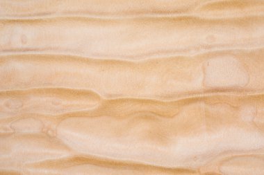 Kapitone akçaağaç dokusuna