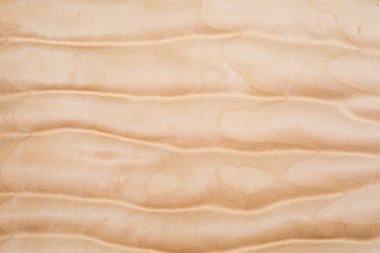 Kapitone akçaağaç dokusuna