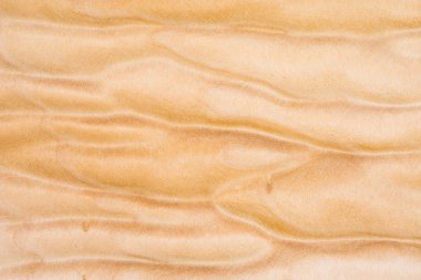 Kapitone akçaağaç dokusuna