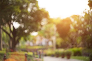 Bokeh yaprak güneş ışığı ile