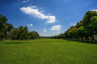 Şehir Parkı yeşil ağaçların görünümünü