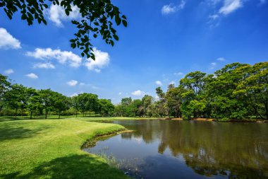 Şehir Parkı yeşil ağaçların görünümünü