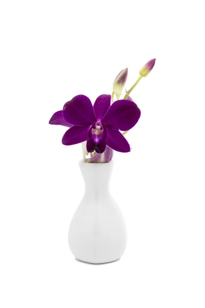 Blossom lila orkidé i vit vas — Stockfoto