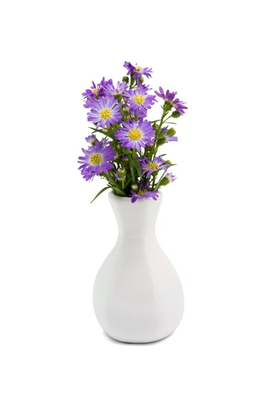 Bouquet marguerite violette en vase — Photo