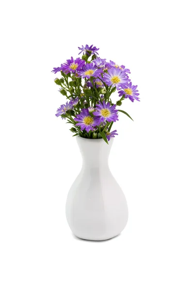 Bouquet marguerite violette en vase — Photo