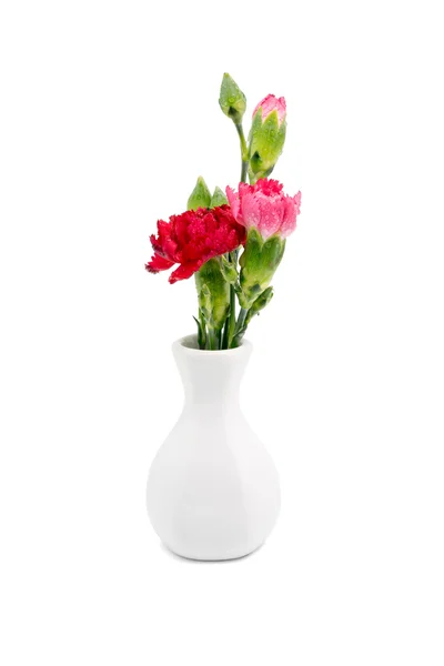 Cravo vermelho em vaso branco — Fotografia de Stock