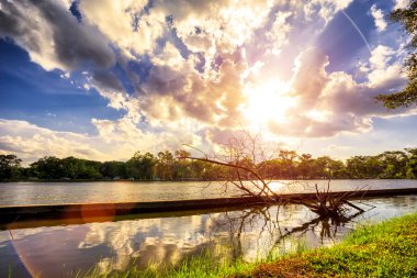  Ulusal Gölü Parkı kuru ağaç görünümünü ön plan üzerinde