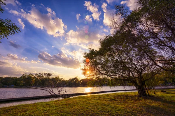 Zachód słońca w Parku Narodowego Jeziora z suchego drzewa sylwetka na foregro — Zdjęcie stockowe